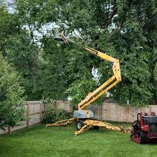Best Aeration Services  in Linton Hall, VA